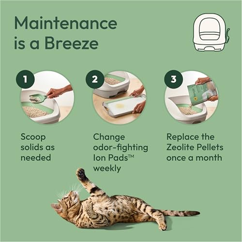 Breeze Covered Cat Litter Box System Kit (10.37 Pound (Pack of 1) / White)