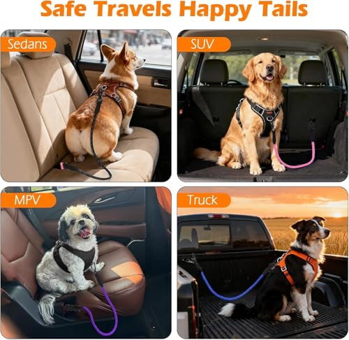 Dog Seat Belt for Car (Grey / 1 Pack)