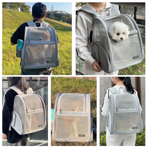 Cat Backpack Carrier for Small Dogs and Medium cat Puppy Kitten Bunny Pet Carrier Backpack Collapsible with Fully Ventilated Mesh with Safety Leash (Gray / 12.9"L x 10.62"W x 15.5"H)