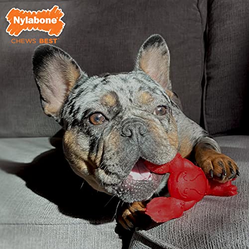 Lobster Power Chew Toy for Dogs (Lobster 1 Pack / Small)