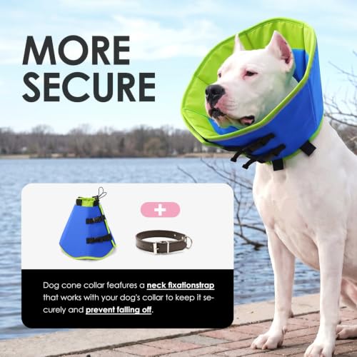 Soft Dog Cone Collar (BlueGreen / Large)