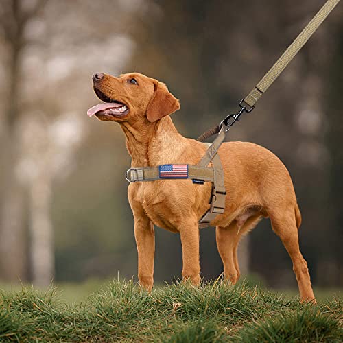 No Pull Dog Harness with Padded Handle+5 Ft Leash (M / Brown Set)