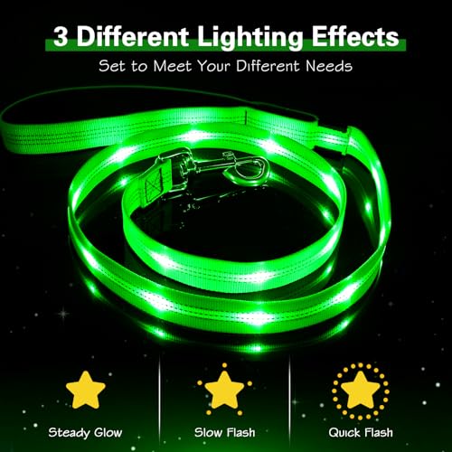 Light Up Dog Leash (Green)