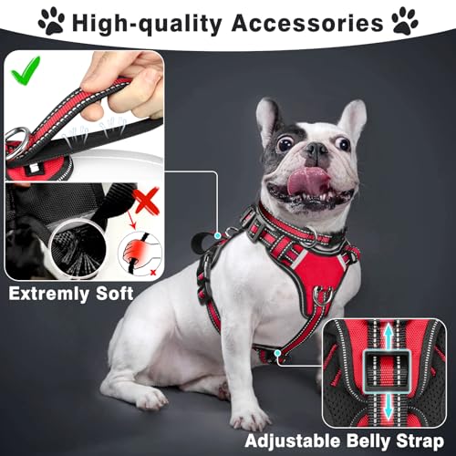 Pet Harness Collar and Leash Set (Small / Red)