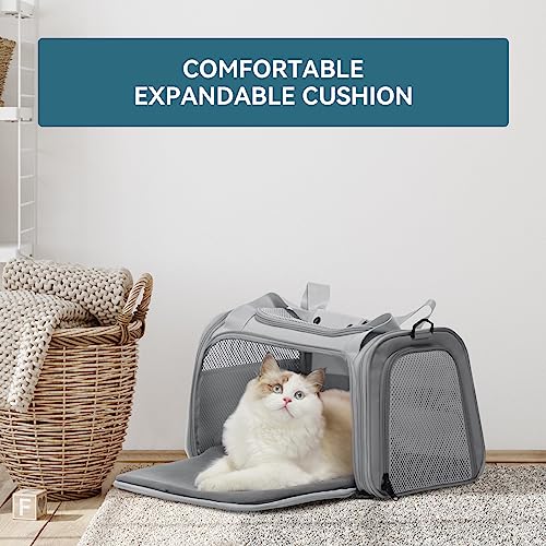 Cat Carrier Grey (17.0"L x 10.3"W x 10.3"H / Grey)