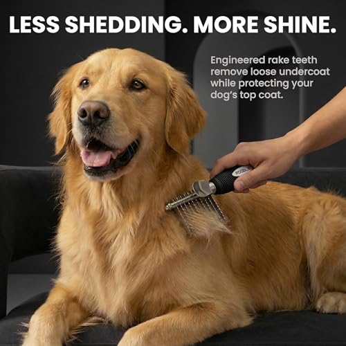 Poodle Dematting Fur Rake Comb Brush for Dogs and Cats (Black / Dematting Comb)