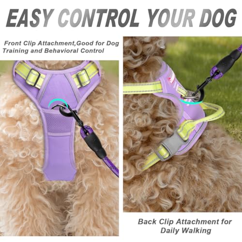 Dog Harness No Pull for Small Sized Dog Front Back Clips (Small(Chest:19.5-26") / Violet Purple & Sunlight)
