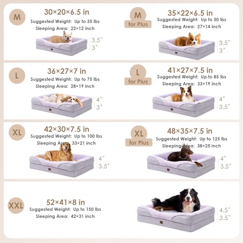 Orthopedic Dog Bed for Medium Dog (Purple / 30x20x6.5)
