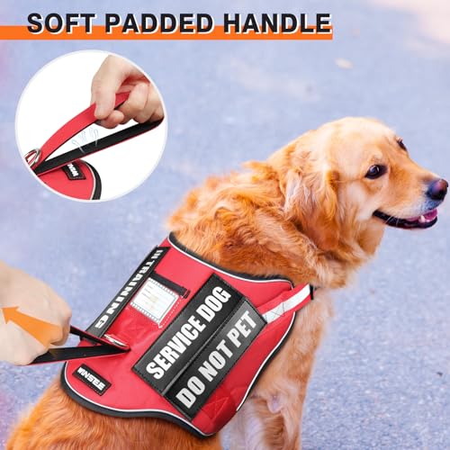 Service Dog Harness and Leash Set (Medium / Red)