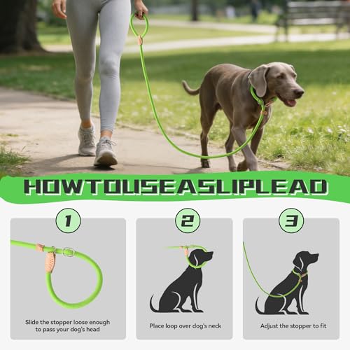 Heavy Duty Slip Lead No Pull Leash 6 (Lime Green / 6 Feet)