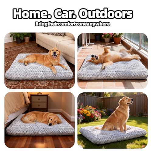 Dog Bed Large Size (Light Grey / 35"L x 23"W x 4"Th)