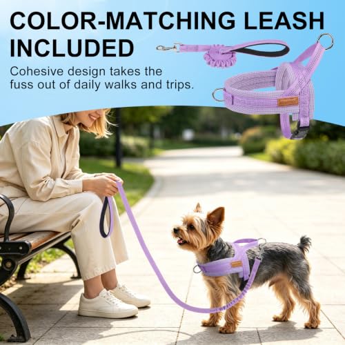 Small Dog Harness and Leash Set (Light Purple / S: Chest 17.5"-22")