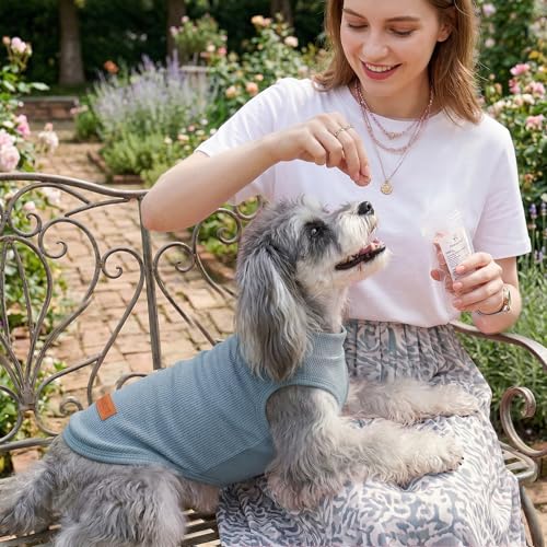 3Pack Dog Shirts Lightweight Waffle Dog Shirt for Small DogsSleeveless Dog Shirt for Small Medium Boy Girl Dogs Cozy & Breathable Pet Vest (XL(Back: 17.7", Chest: 22.8", 19.8-29.8lbs) / Light Green+Light Grey+Iron Blue)