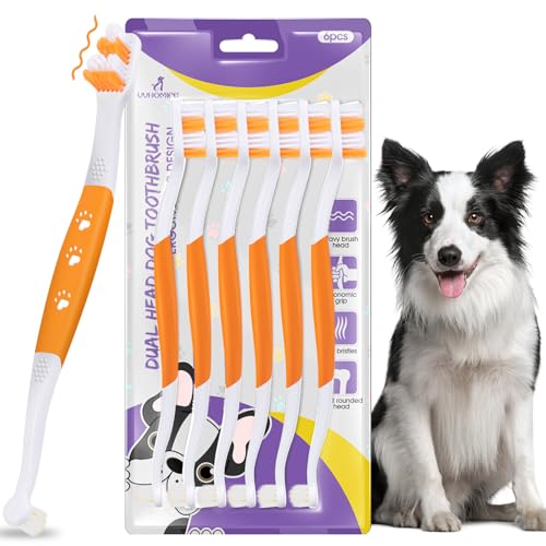 Dog Toothbrush (Orange / 1 Count (Pack of 6))