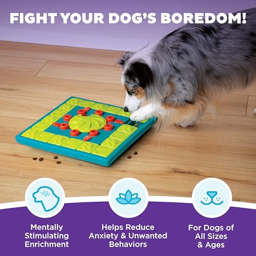 Nina Ottosson MultiPuzzle Dog Toy Treat Puzzle (Multipuzzle (Green) / 1 Count (Pack of 1))