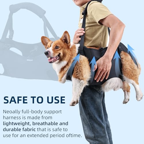 Dog Lift Harness (S)