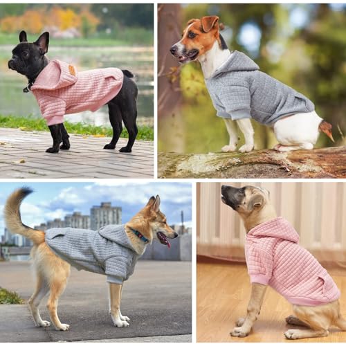 Dog Hoodies Sweater for Small Dogs (Pink / S/M (Back: 14",Chest: 19", Neck: 12"))