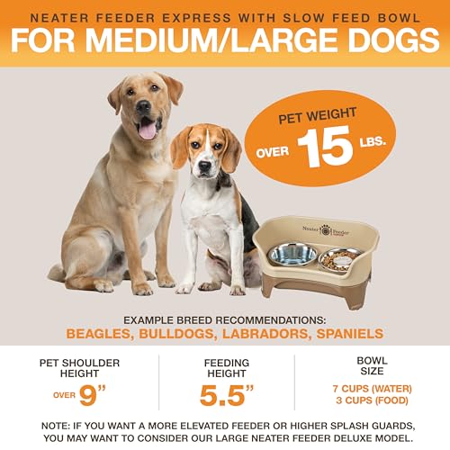 Express Model w (Medium to Large w/ Metal Slow Feed Bowl / Cappuccino)