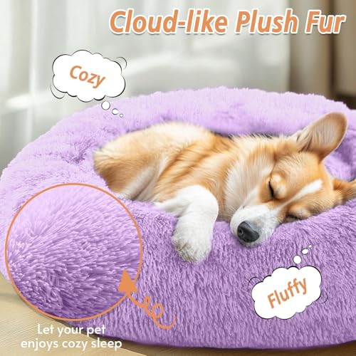 Calming Dog Beds Large Sized Dog (Purple / 36.0"L x 36.0"W x 8.0"Th)