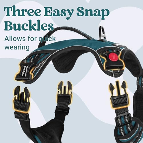 Large Dog Harness (Small / Green)