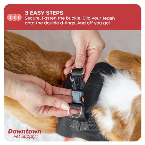 Step in Dog Harness (Small / Charcoal)
