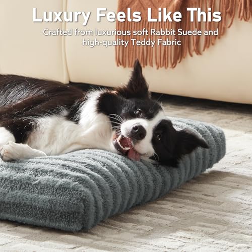 Washable XL Dog Bed for Extra Large Dogs (Gray / 40.0"l x 27.0"w x 3.5"th)