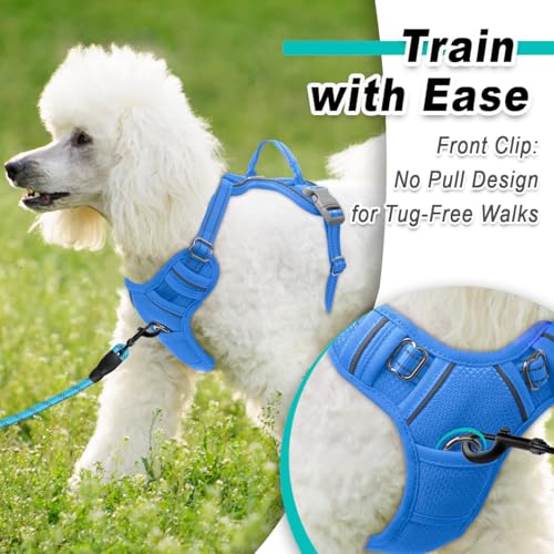 Dog Harness for Small Sized Dog No Pull Mesh 2 Clips Dog Vest (X-Small / Blue-Mesh)