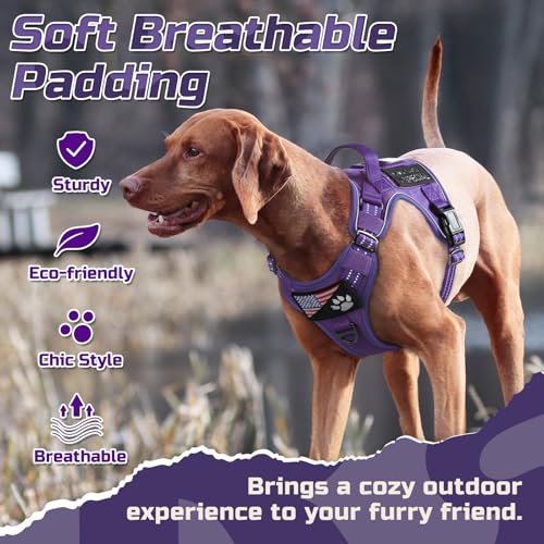 Tactical Dog Harness for Medium (Purple / Medium)