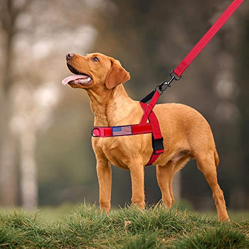 No Pull Dog Harness with Padded Handle+5 Ft Leash (S / Red Set)