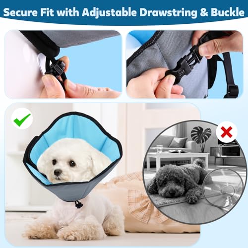 Soft Dog Cone Collar After Surgery (Blue / L(Neck:12.7"-17.4"/Depth:10.2"))