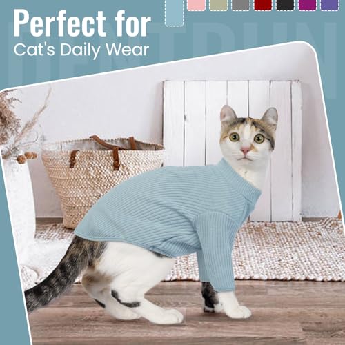 Hairless Cat Shirt (Medium / Blue)
