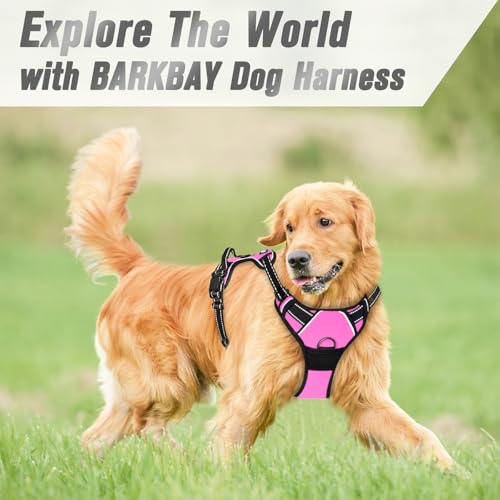 Dog Harness No Pull for Small Sized Dog Front Back Clips (Small(Chest:19.5-26") / Pink)