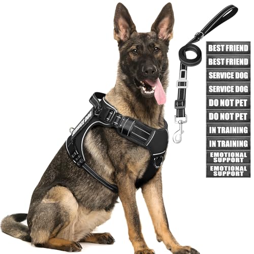 Tactical Dog Harness and Leash Set for Large Dogs+10 Dog Patches (Large / Black)