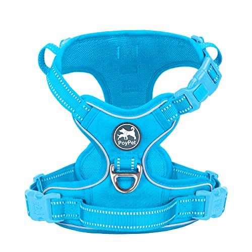 No Pull Dog Harness (S / Blue(Matching Trim))