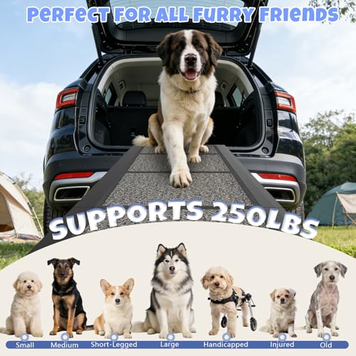 Dog Ramp for Car (63" L x 17" W)