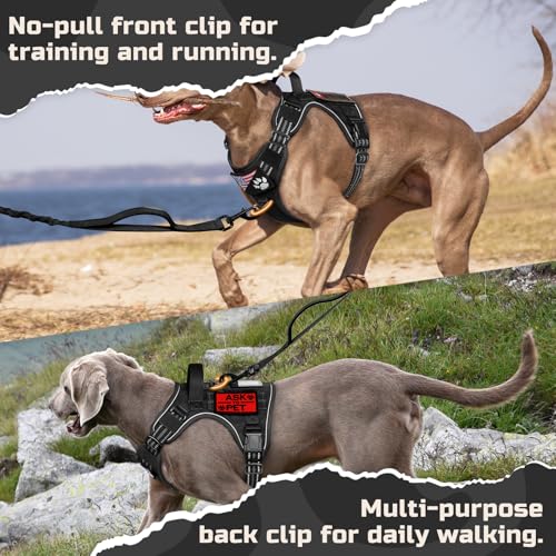 Tactical Dog Harness for Small (Black / Small)