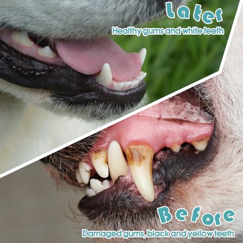 200 Count Dog Toothbrush Double Headed Long Handle Soft (White)