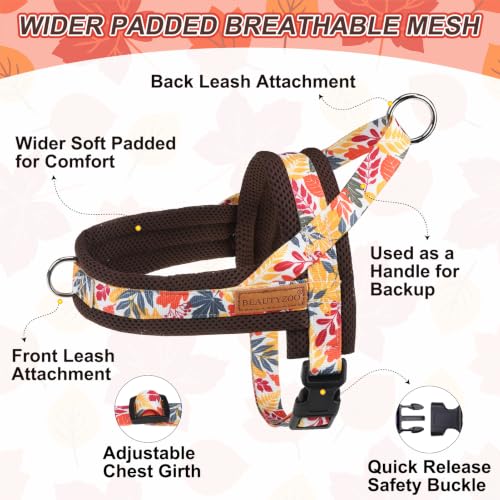 Small Dog Harness and Leash Set (Fall Leaves / S: Chest 17.5"-22")