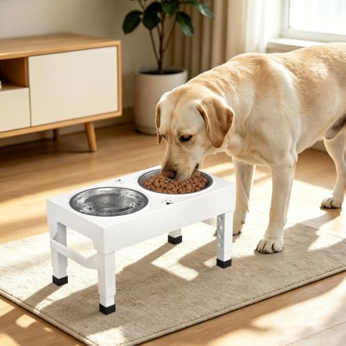 Elevated Dog Bowls Stand Large Breed (White)