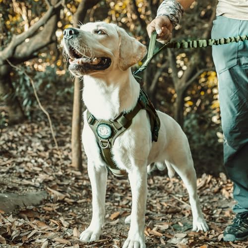 Tactical Dog Harness with Handle No (XX-Small / Green)