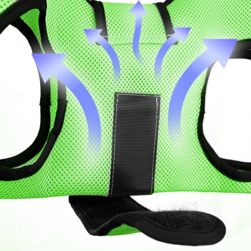 PawsUp Pet Grooming Hammock Kit for Large Dogs