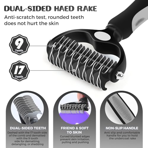 Large Dog 3 in 1 Grooming Kit (Black)