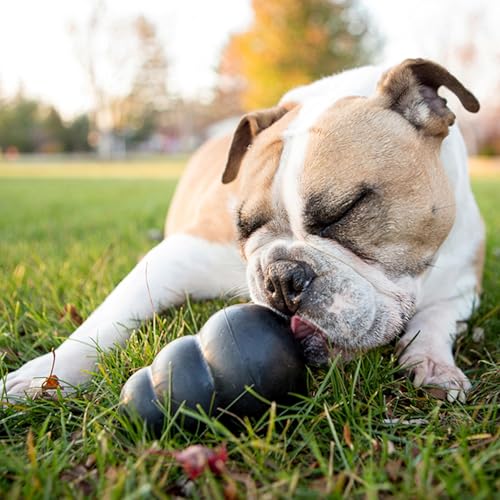 Extreme Dog Toy (Small(2-Pack))
