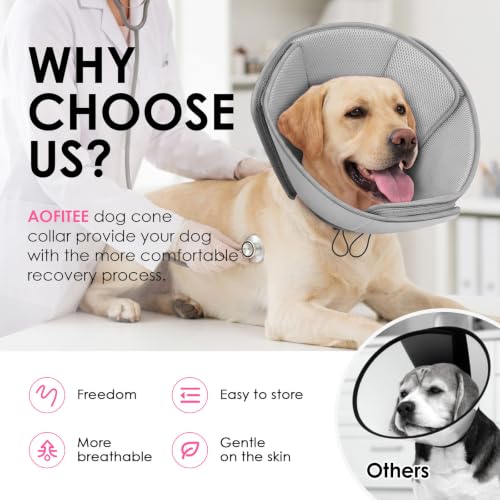 Soft Dog Cone Collar (Grey / Small)