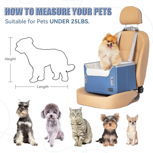 Dog Car Seats for Small Dogs - PetSolution