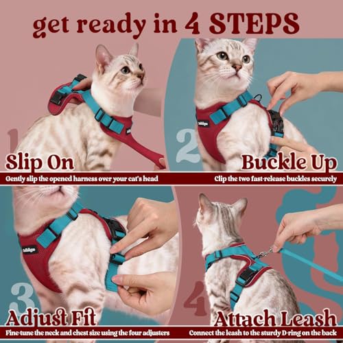 Cat Harness and Leash Set (Xxs / Red & Teal)