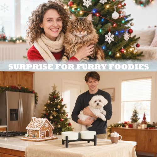 Elevated Ceramic Dog Bowl Set (Blue / 1.4 Cups)