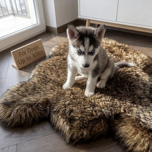 Faux Fur Orthopedic Dog Bed (Brown / Small)