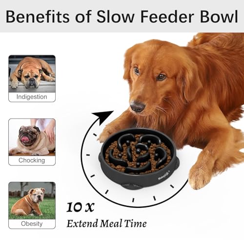 2 Pack Slow Feeder Dog Bowls (B-Gray&Black / Large)