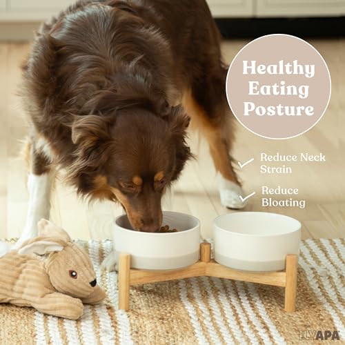 Ceramic Dog Bowls (Gray)